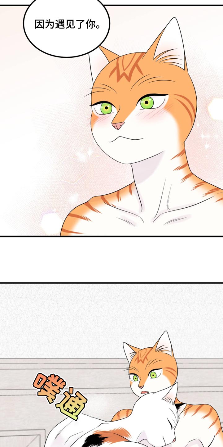 灵猫欧米伽漫画,第71章：【第二季】撒娇2图