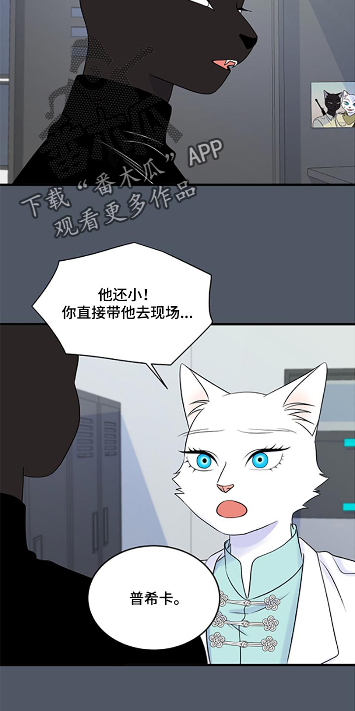 灵猫欧米伽免费版在哪里看漫画,第78章：【第二季】优点也是弱点1图