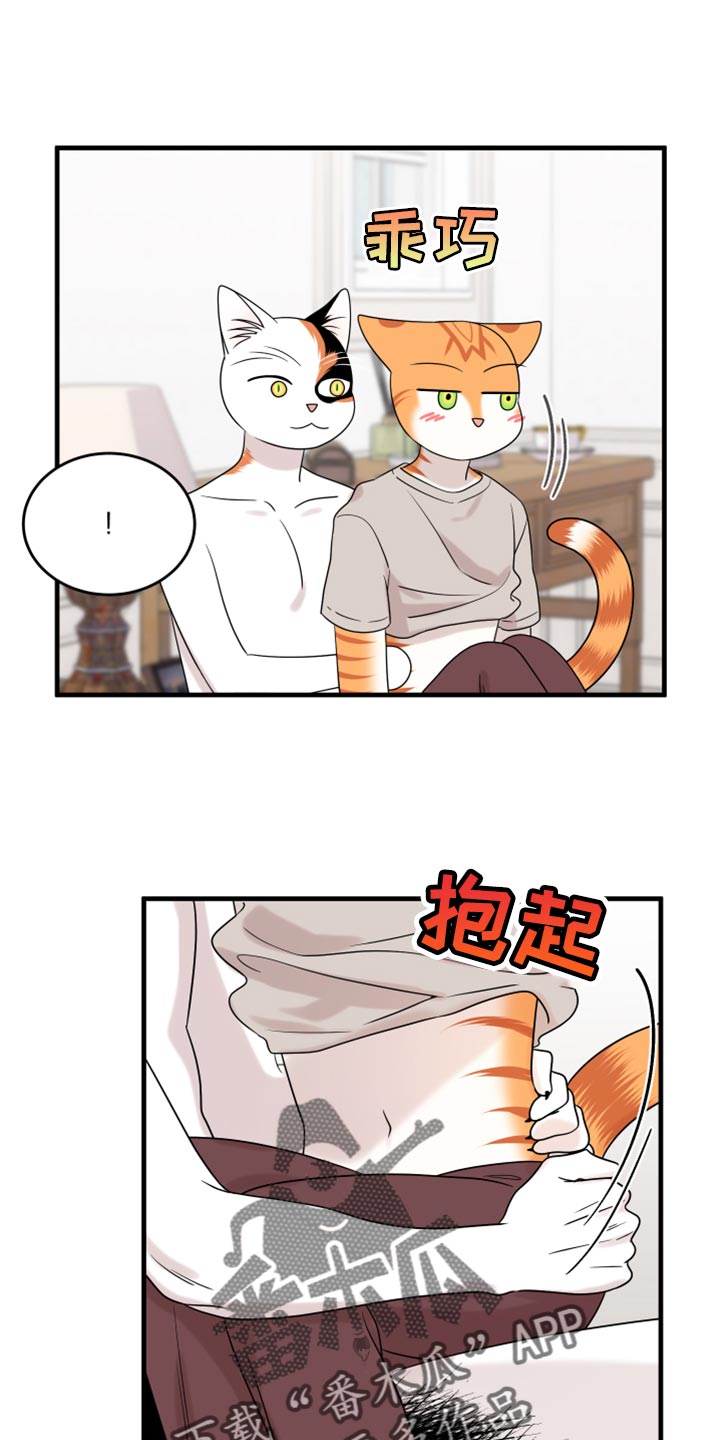 灵猫小说漫画,第91章：【第二季】暴走之前1图