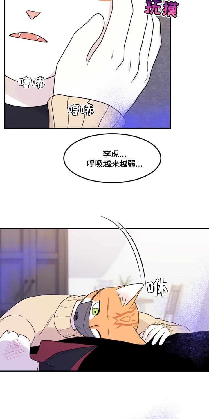 灵猫欧米伽漫画下拉漫画,第51章：决定2图