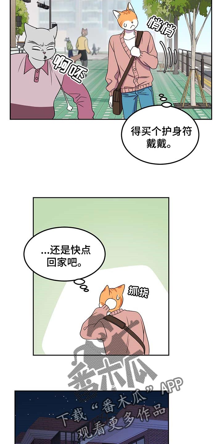 灵猫欧米伽漫画全集免费观看漫画,第42章：联系方式1图