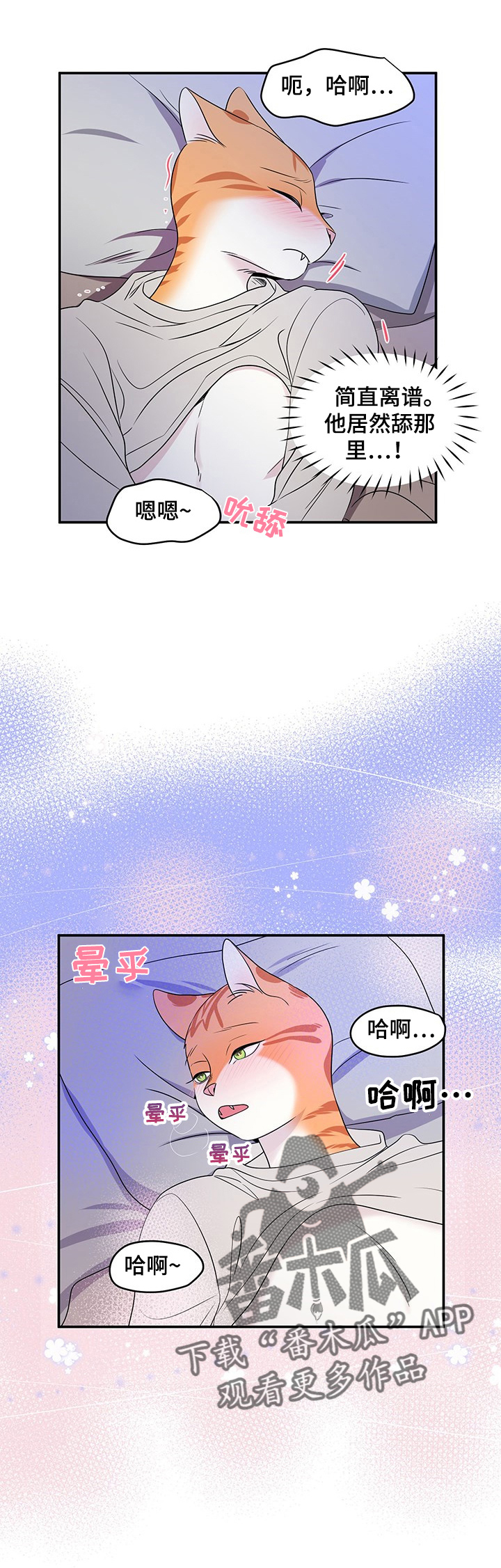 灵猫动漫漫画,第4章：讨厌我1图