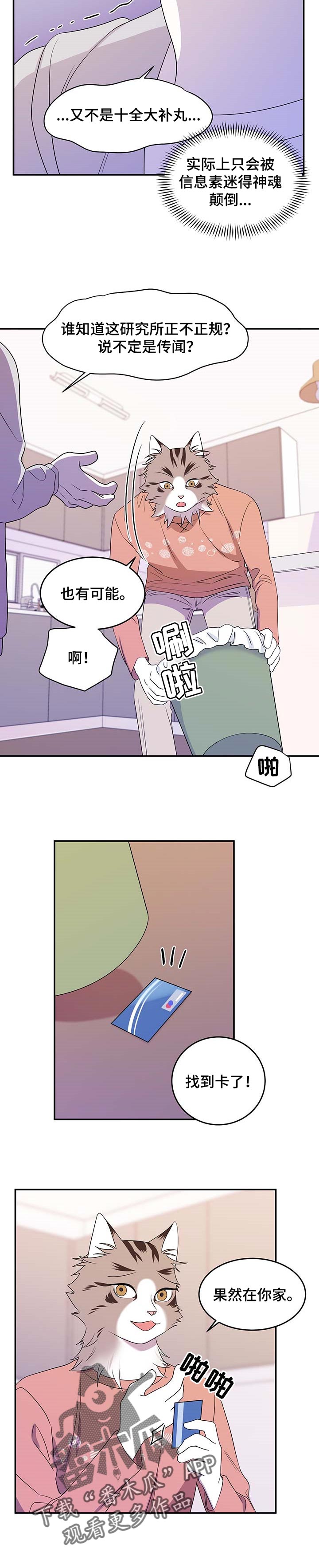 灵猫动漫漫画,第19章：信息素2图