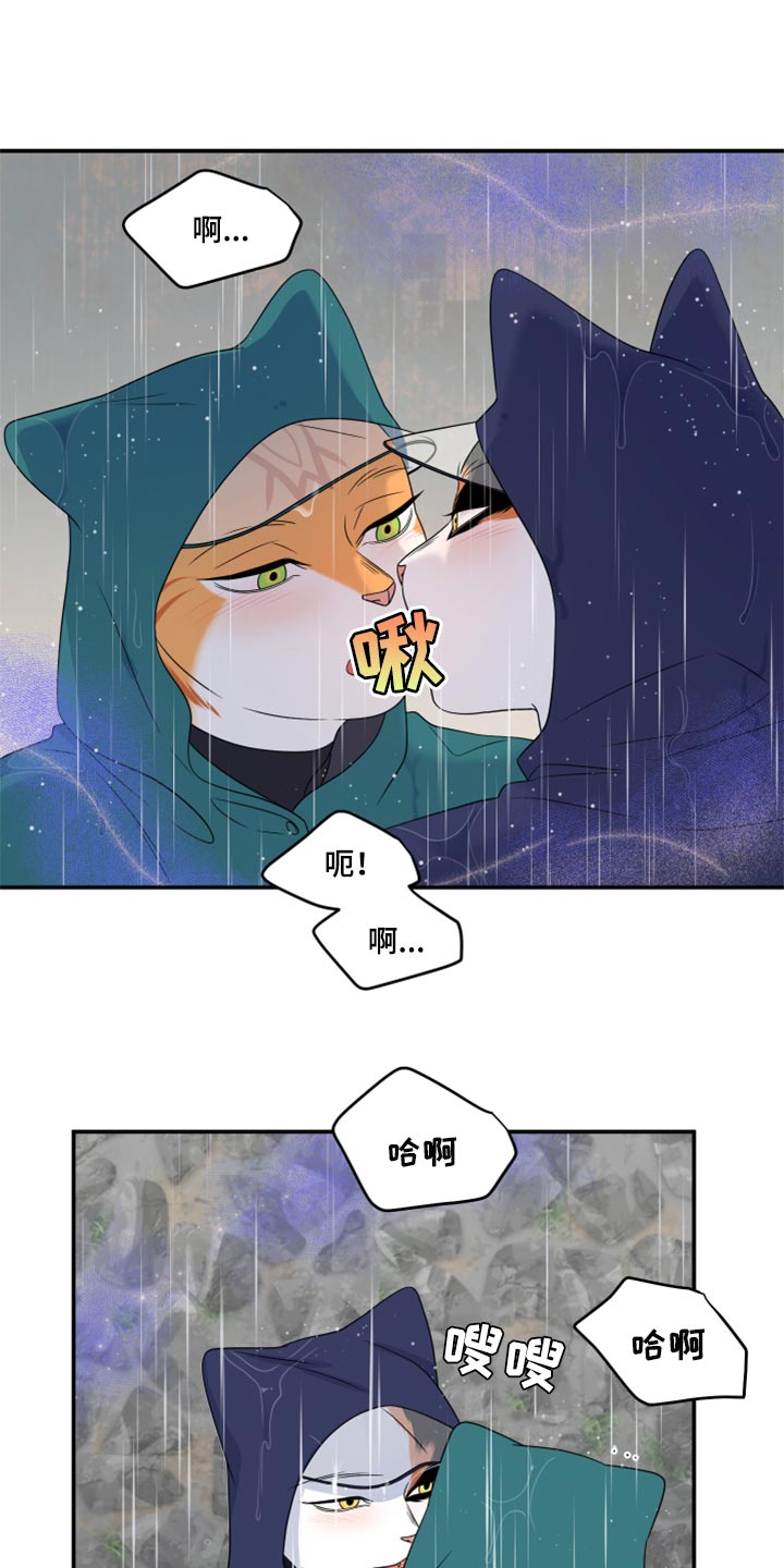 灵猫传汪苏泷漫画,第53章：【第二季】逃跑之路2图