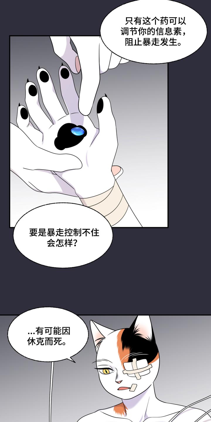 灵猫欧米伽免费阅读漫画,第52章：我的人生我做主（第一季完结）2图