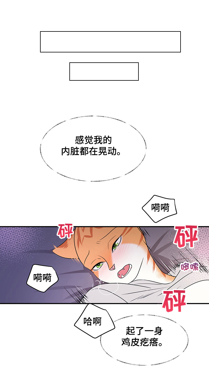 灵猫欧米伽漫画全集免费观看漫画,第4章：讨厌我2图