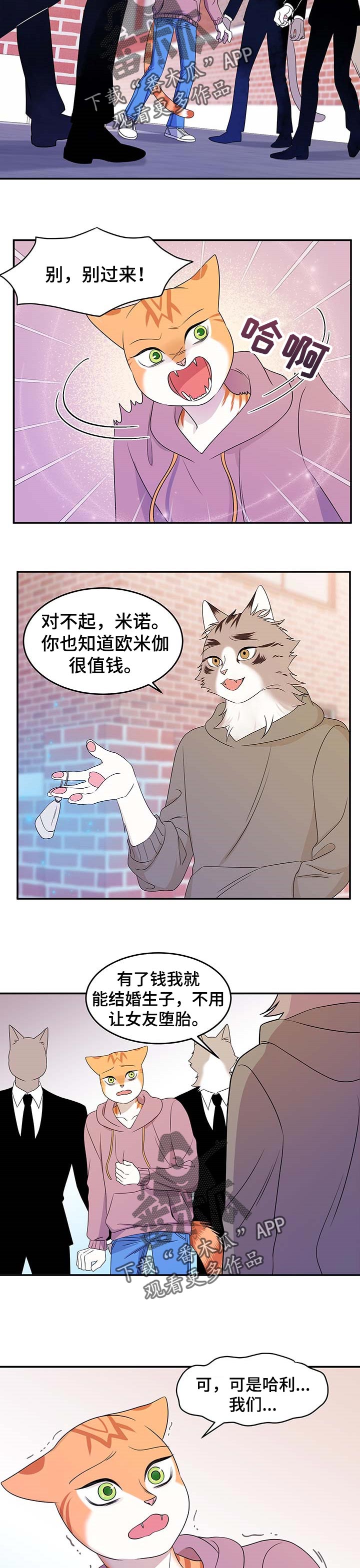 灵猫欧米伽漫画在哪里看漫画,第27章：绑架1图