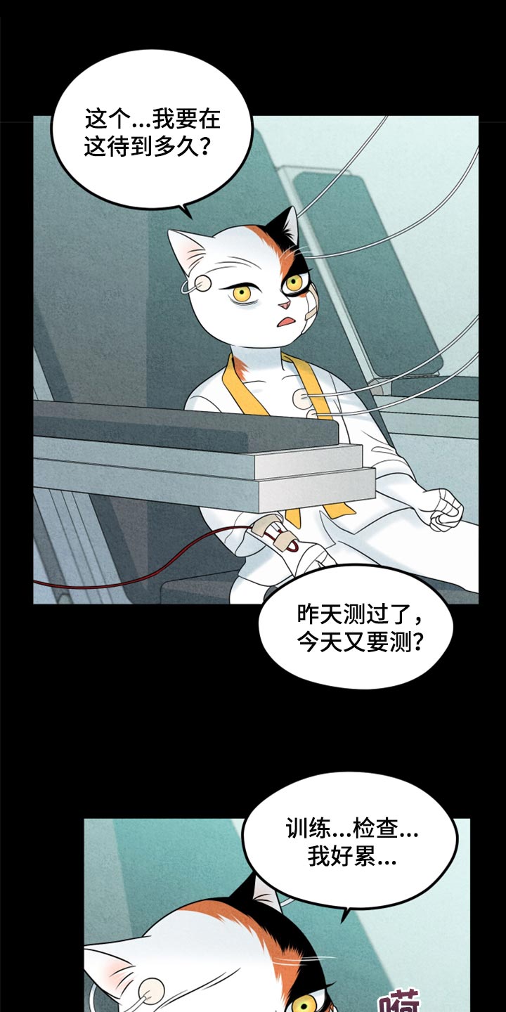 灵猫欧米伽什么时候更新漫画,第70章：【第二季】我想放弃2图