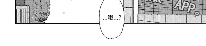 城市之光李建徐霞简谱漫画,第11章：寻找2图