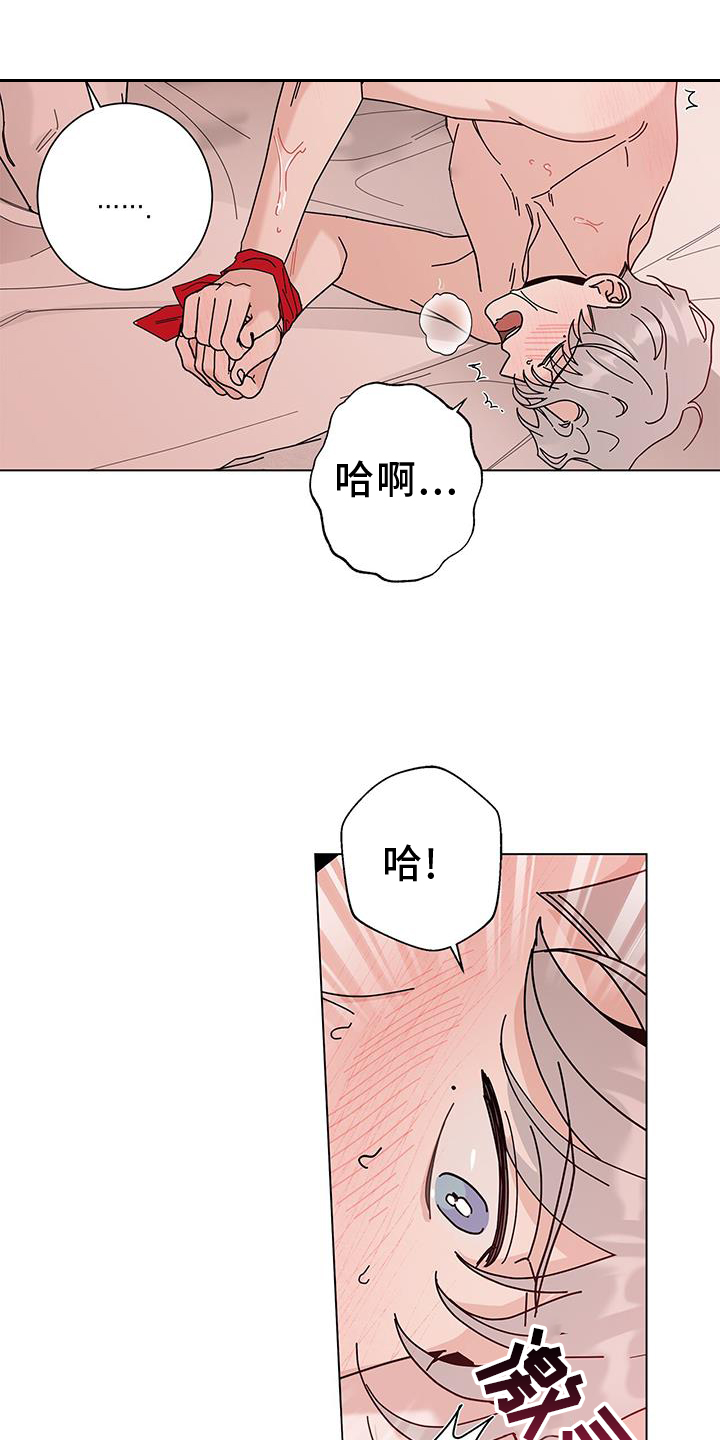 时运包括什么漫画,第117章：【第二季】感谢1图