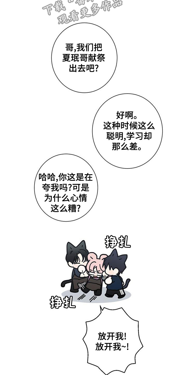 多和爹娘说说话原唱dj漫画,第83章：如临大敌2图