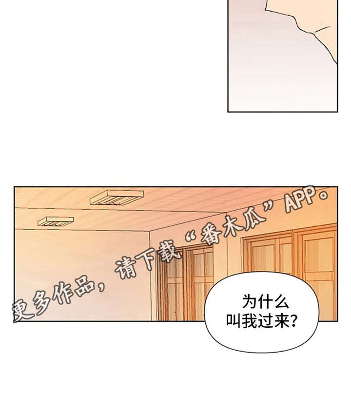 平等的婚姻关系漫画,第7章：理由1图