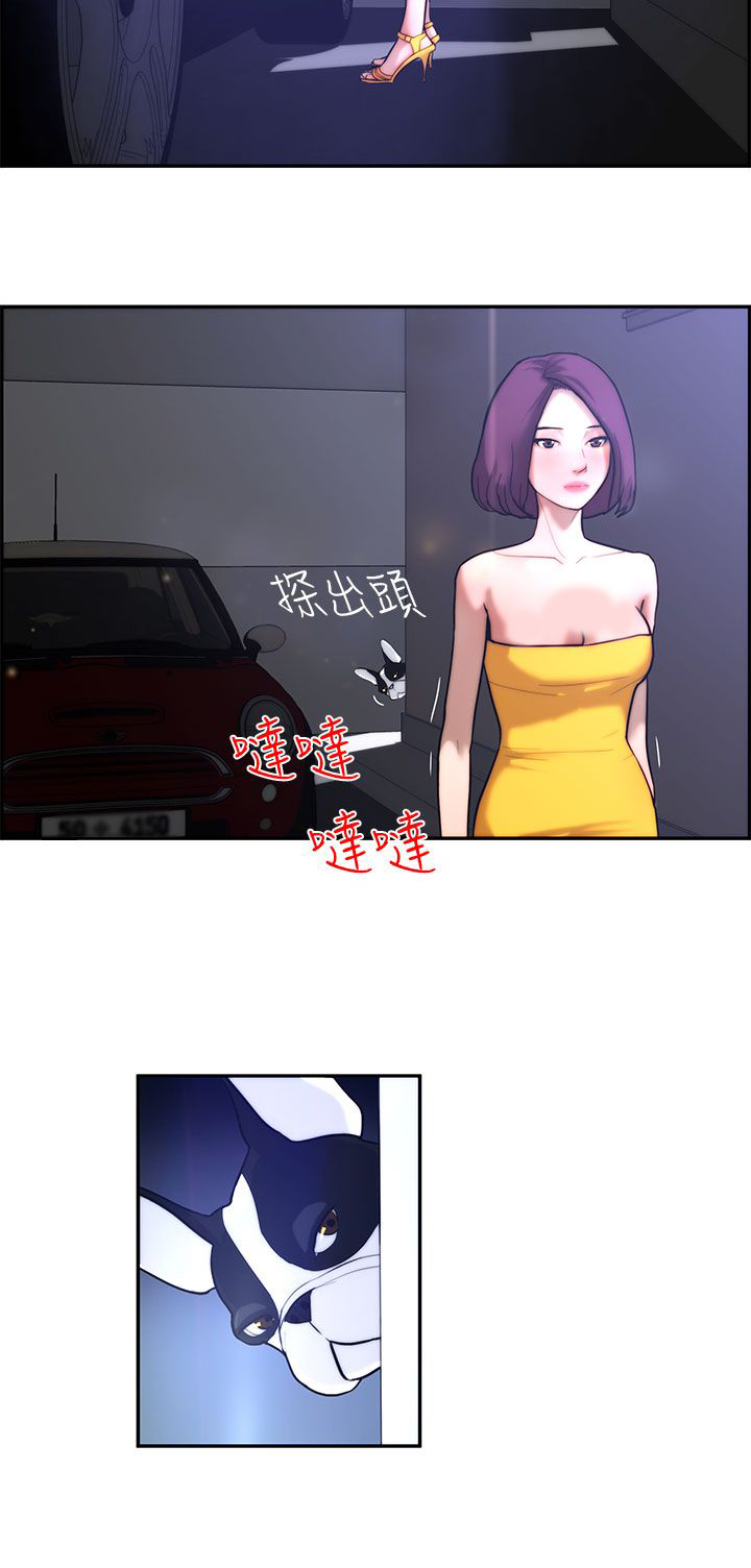 物种交换的原因和影响漫画,第3话2图