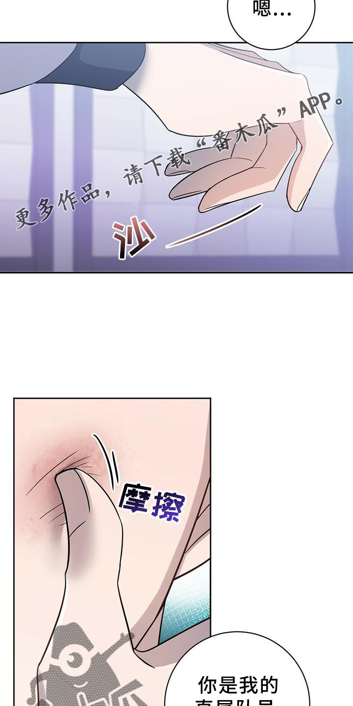 异能都市最新游戏视频漫画,第19章：有意思2图