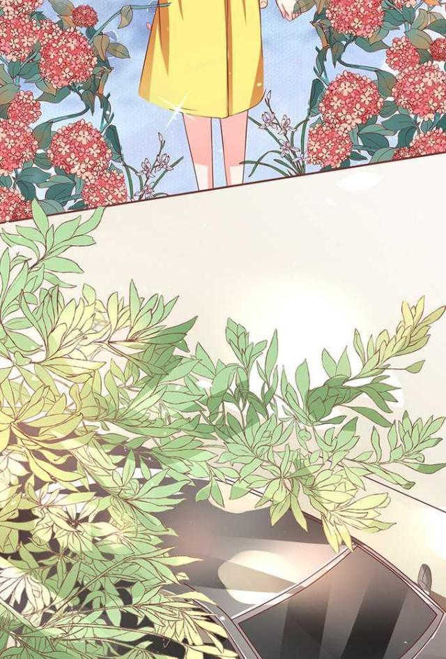 王爵的私有宝贝免费阅读全集漫画,第74话2图