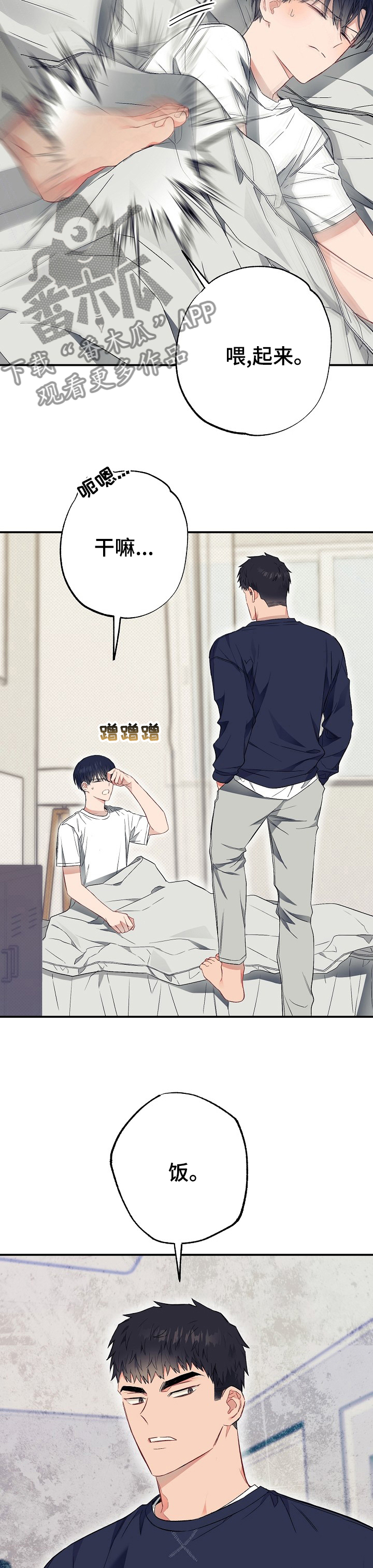 同住屋檐下动漫漫画,第41章：快递2图