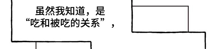 任家四姐妹漫画,第14章：落下的东西2图