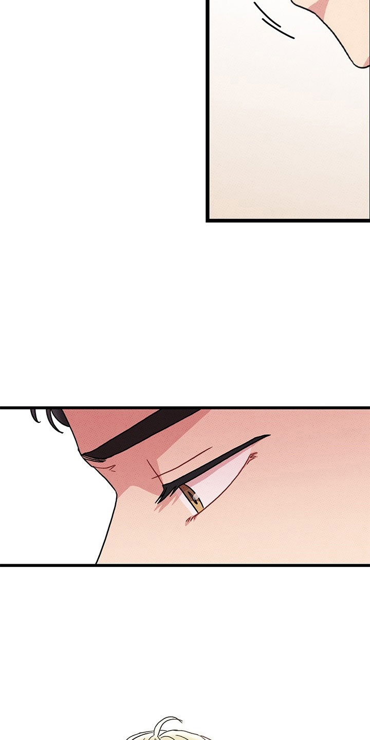 可爱小铃铛图片漫画,第74章：【第二季】喝酒1图