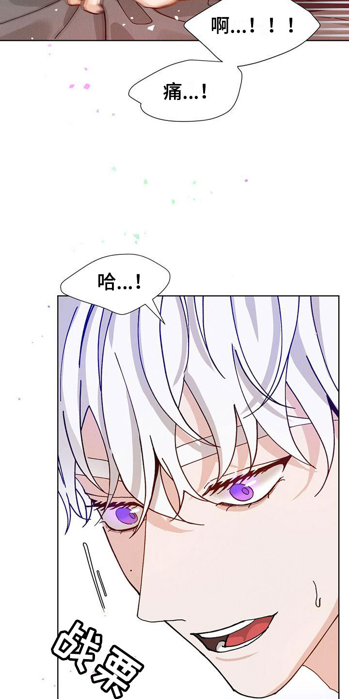暗香吉他谱c调简单版漫画,第29章：拉福特：速战速决1图