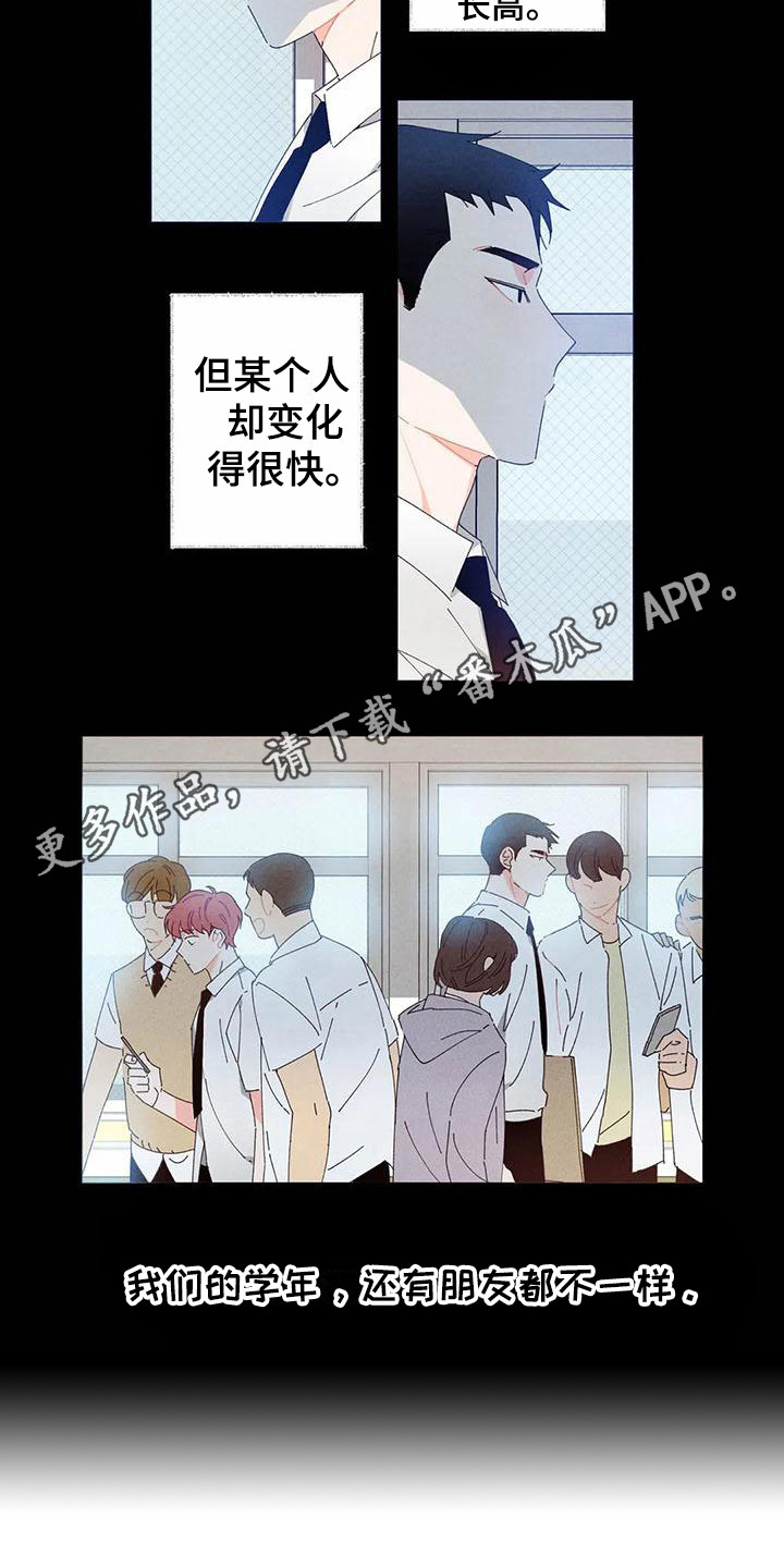 暗香吉他谱c调简单版漫画,第12章：哦，这是一个玩具：变得不同2图