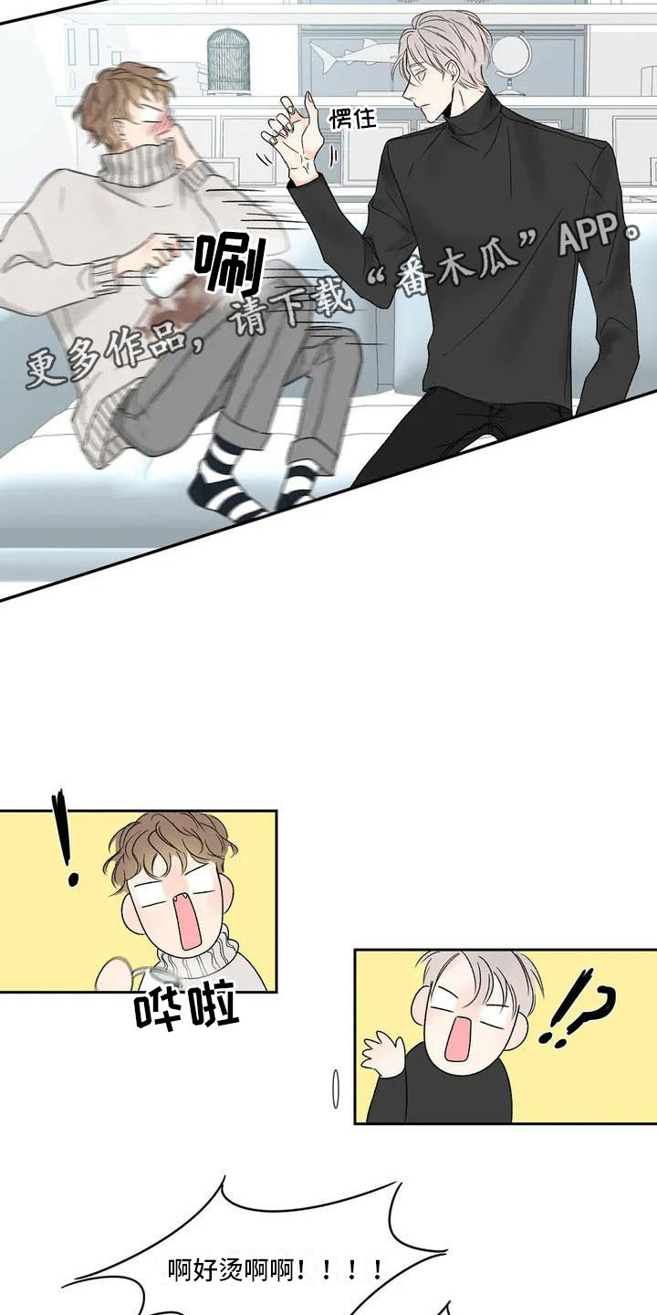 暗香吉他谱c调简单版漫画,第33章：季节回来了：哥回来了1图