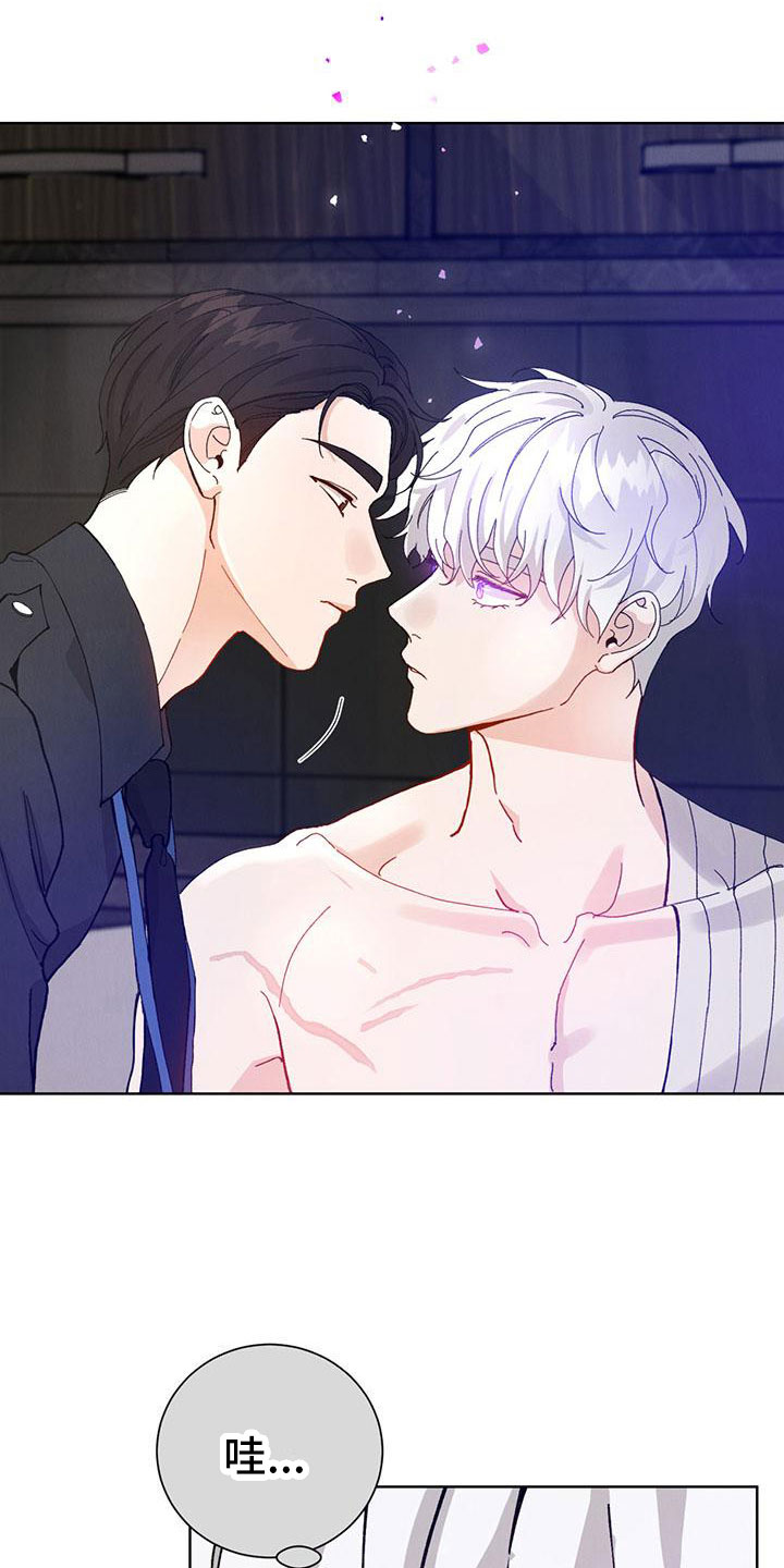 暗香吉他谱c调简单版漫画,第28章：拉福特：换个方式2图