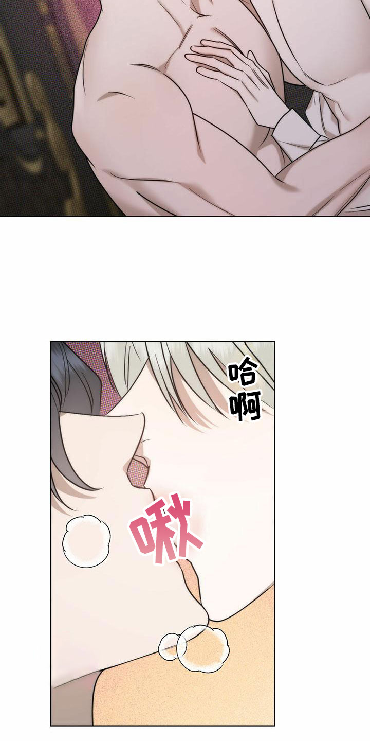 暗香集漫画韩漫漫画,第8章：精华：见大公爵1图