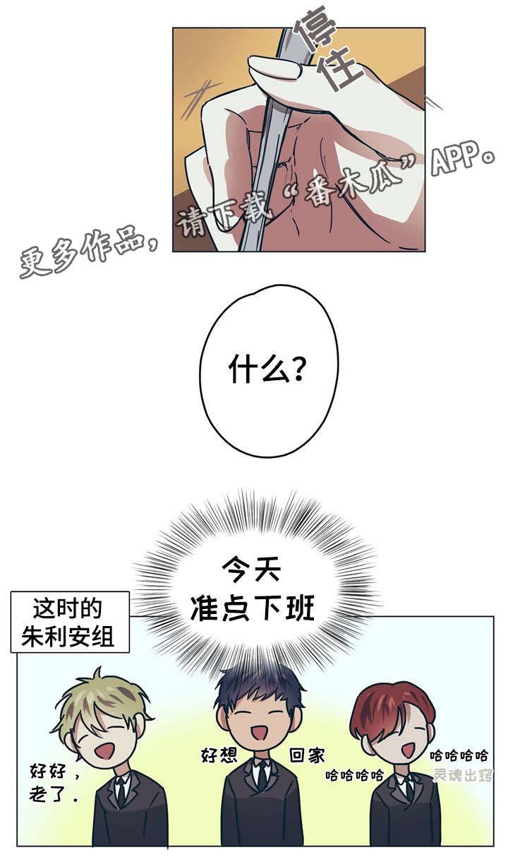 欧洲童话王子漫画,第8章：王妃2图