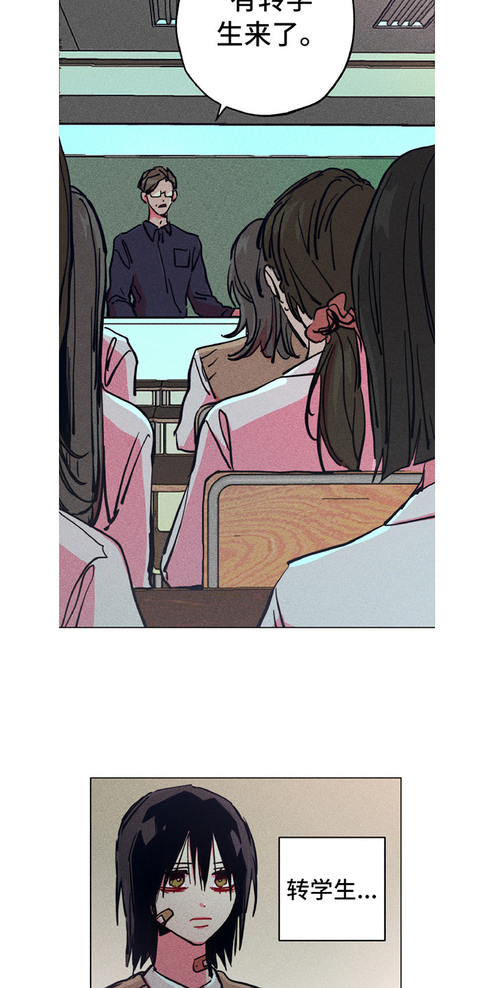 拳王漫画,第1章：地狱一般2图