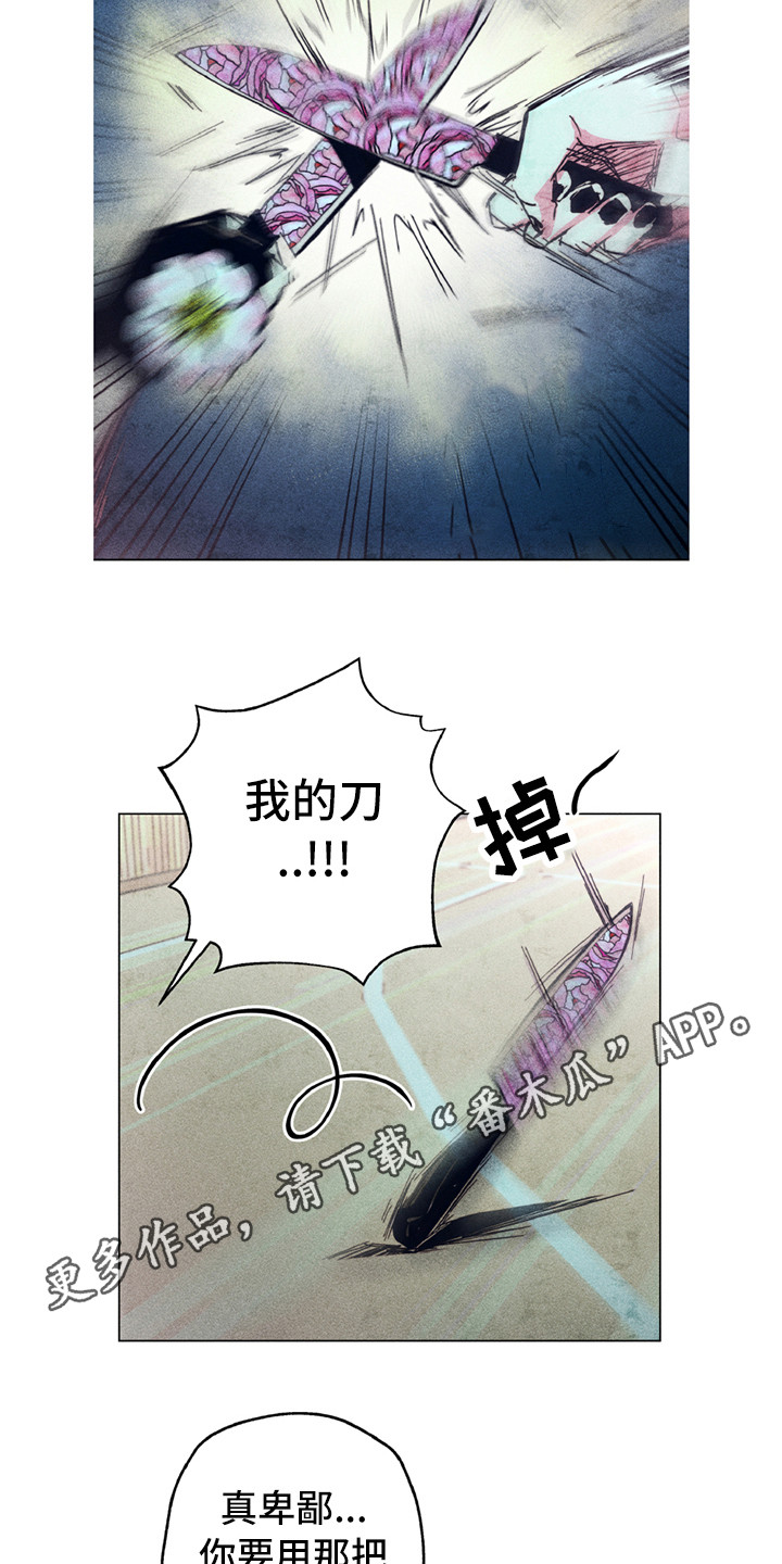 拳王漫画,第10章：共同守护（完结）2图
