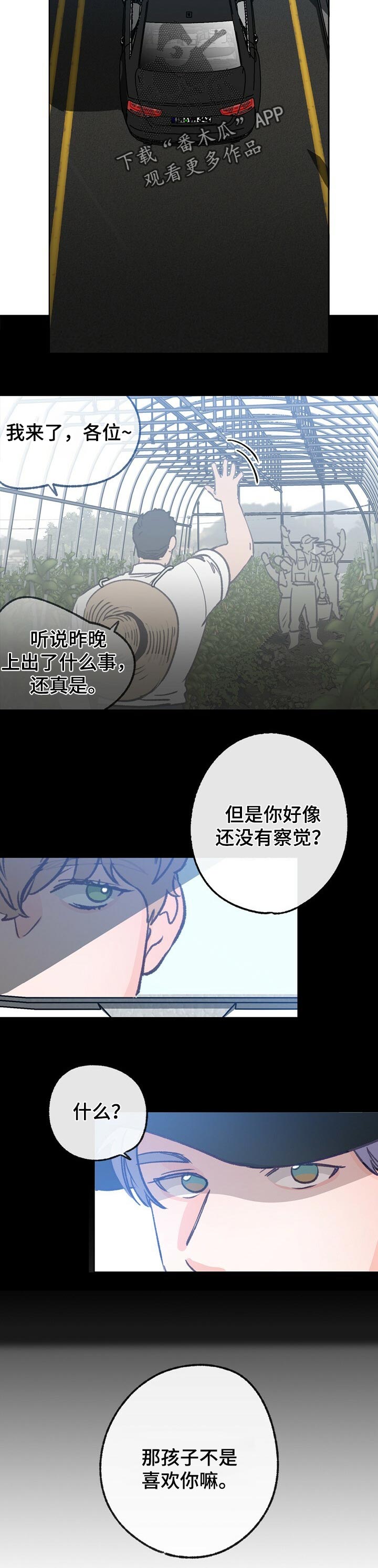 乡野旋律158爱你没有理由漫画,第53章：复杂的感情2图