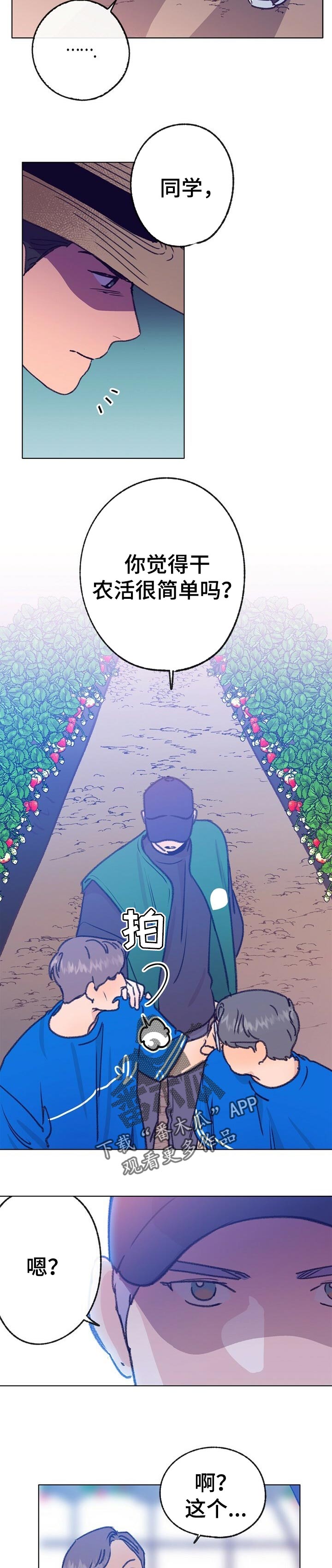 乡野旋律第一季漫画,第67章：体验活动2图