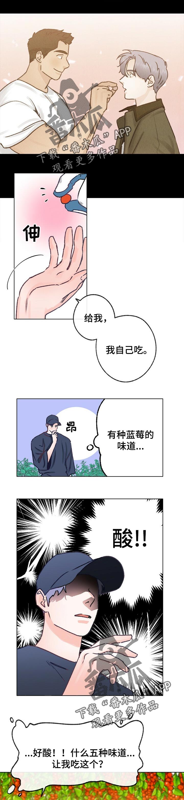 乡野旋律韩剧漫画,第61章：散步2图