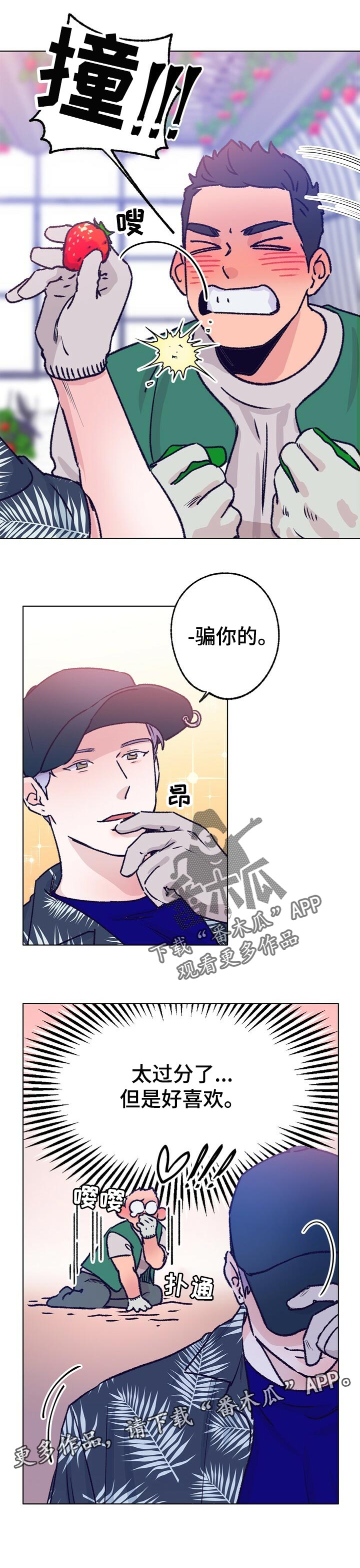 乡野小婷漫画,第64章：摘草莓1图