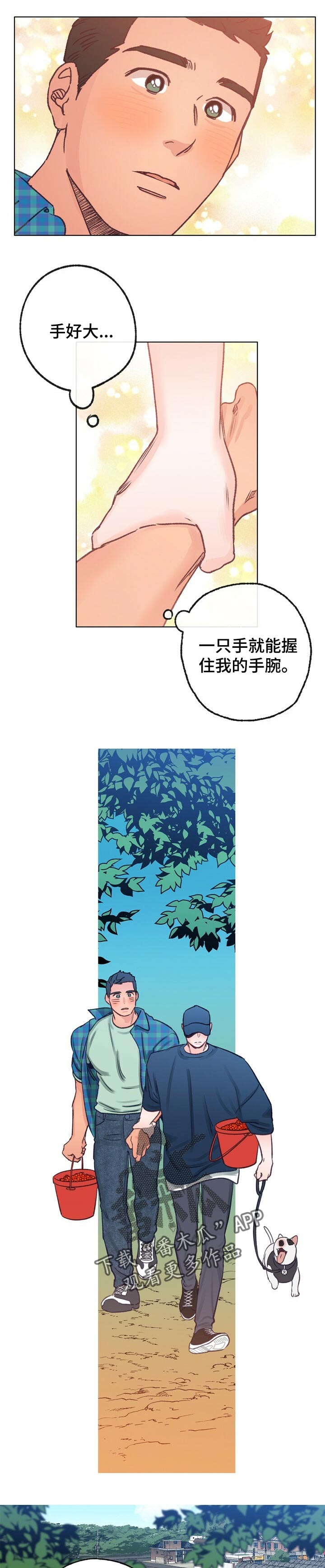 乡野旋律韩剧漫画,第61章：散步2图