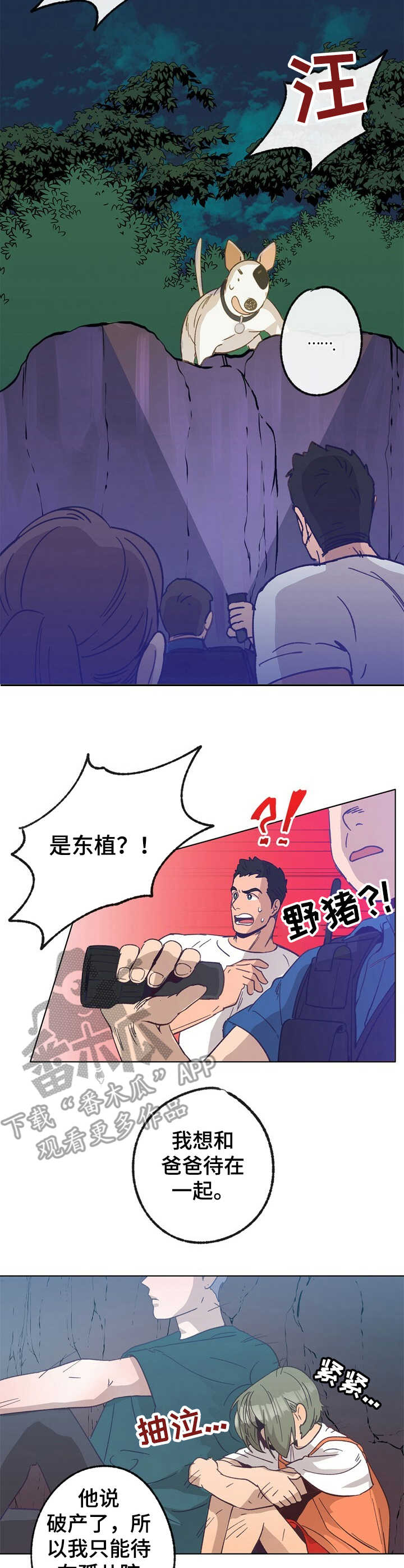 乡野旋律158爱你没有理由漫画,第27章：晕倒1图