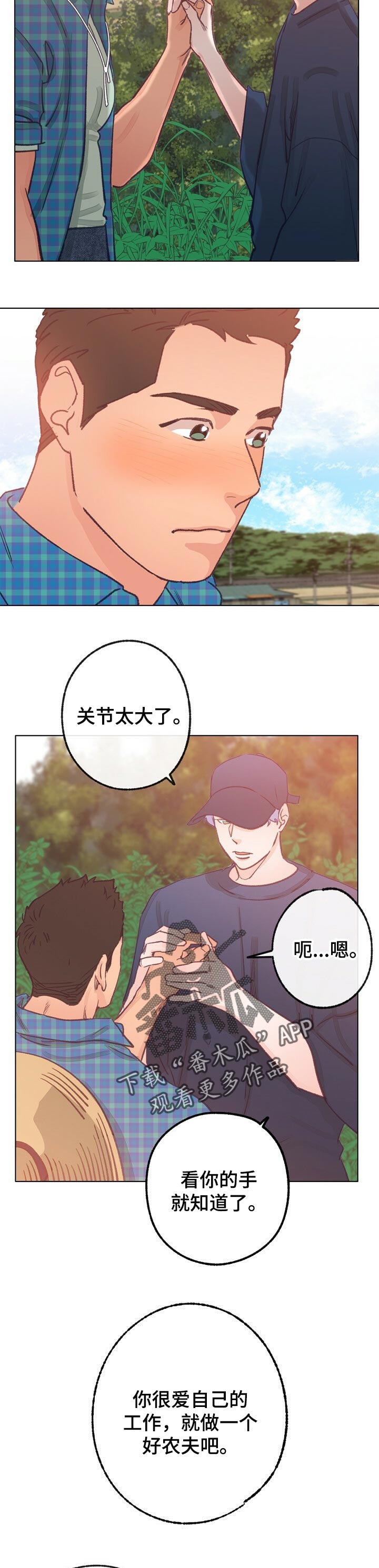 乡野旋律漫画在哪可以看漫画,第62章：弟弟2图