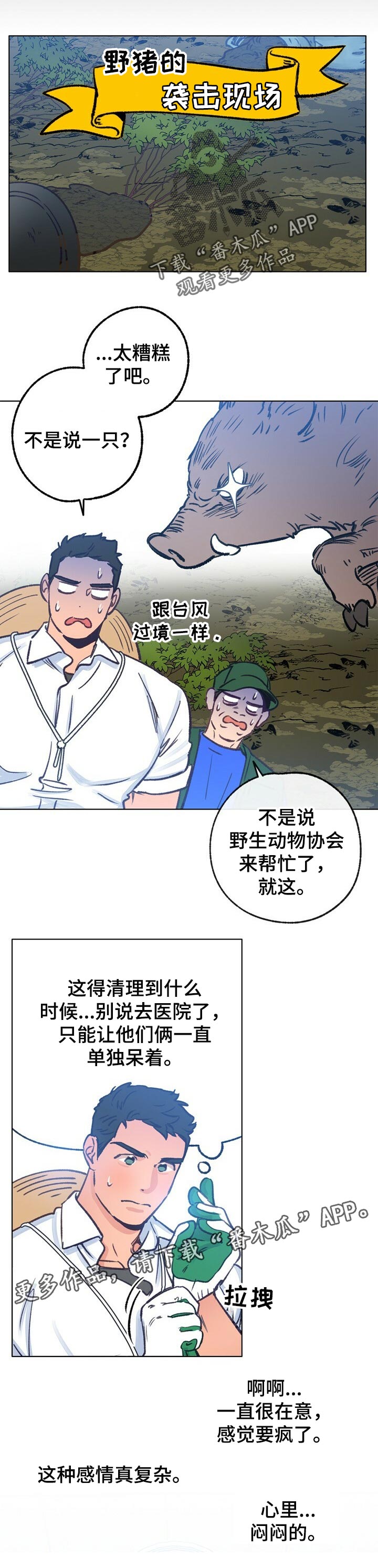 乡野旋律158爱你没有理由漫画,第53章：复杂的感情1图