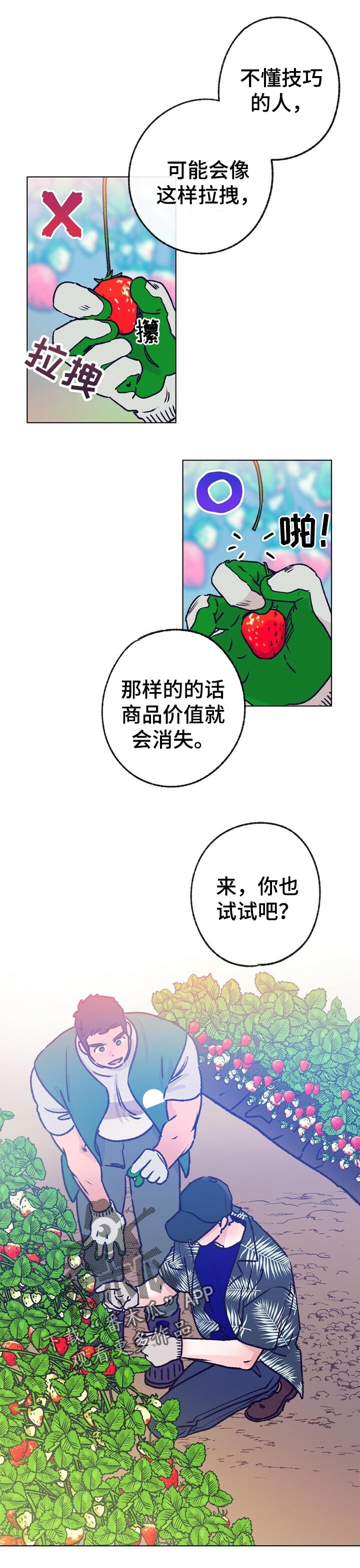 乡野旋律韩剧漫画,第64章：摘草莓2图