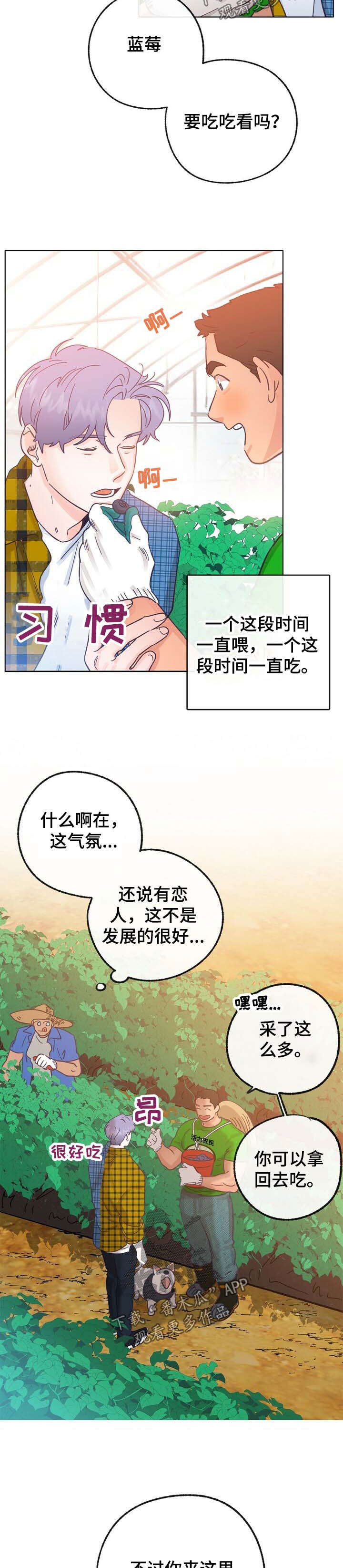 乡野旋律第二季漫画,第42章：来人1图