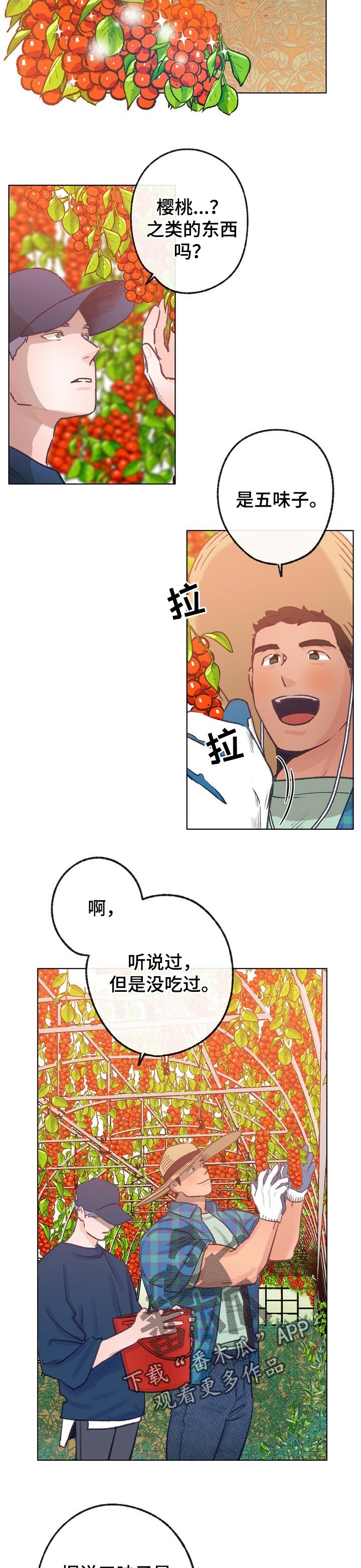 乡野旋律韩剧漫画,第61章：散步2图