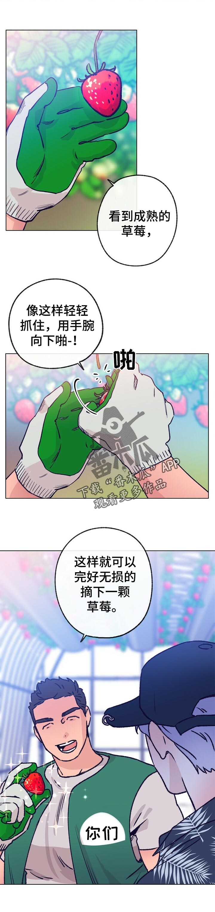 乡野旋律韩剧漫画,第64章：摘草莓1图