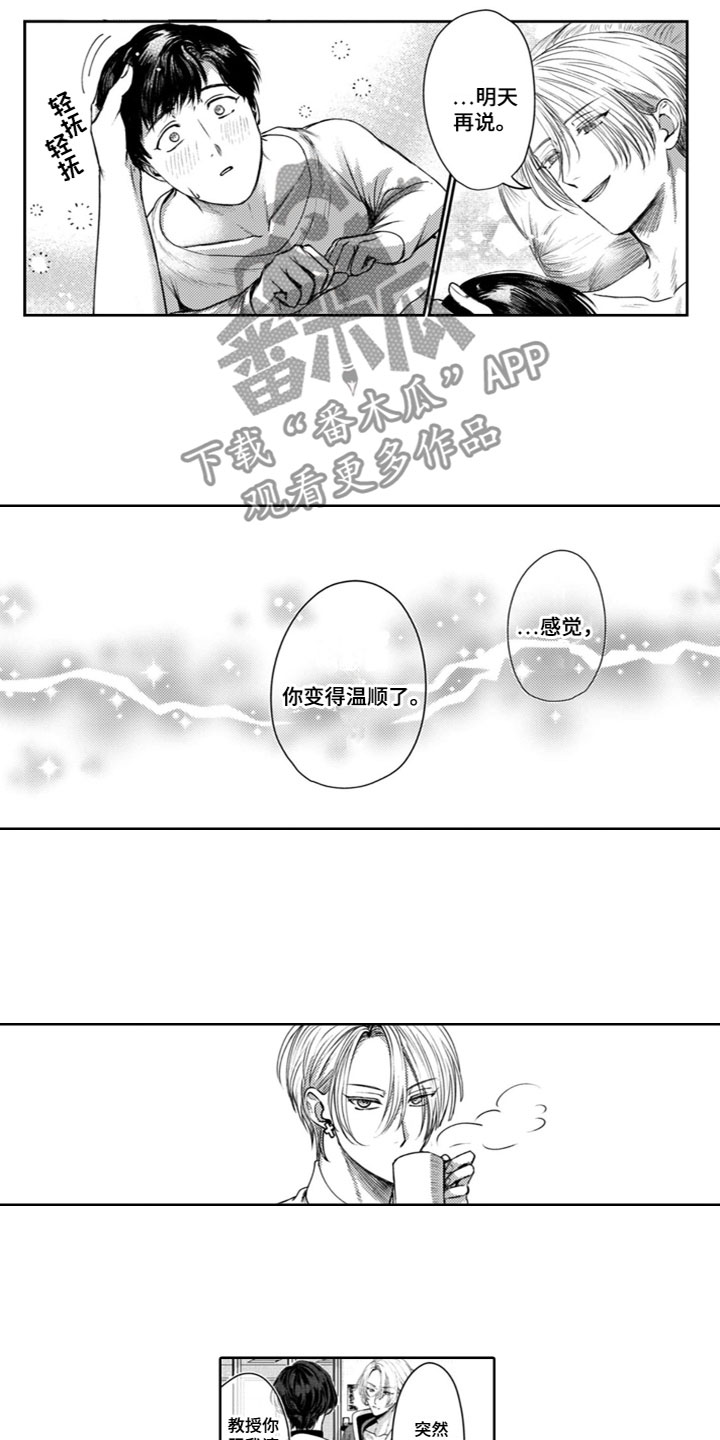 教我谈恋爱吧漫画,第26章：一直在一起（完结）1图