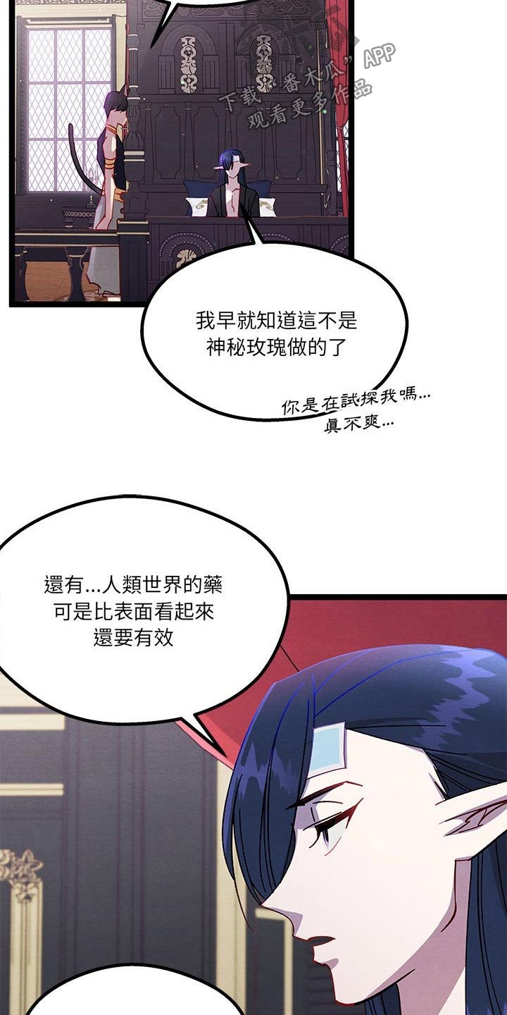 他与她的秘密漫画,第32章：决定了2图