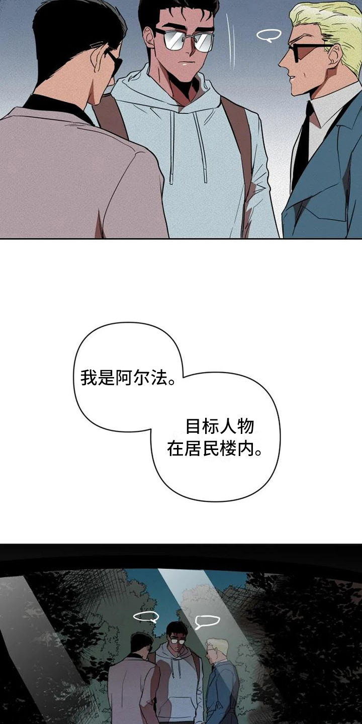 甜蜜杀戮漫画,第17章：汇报2图