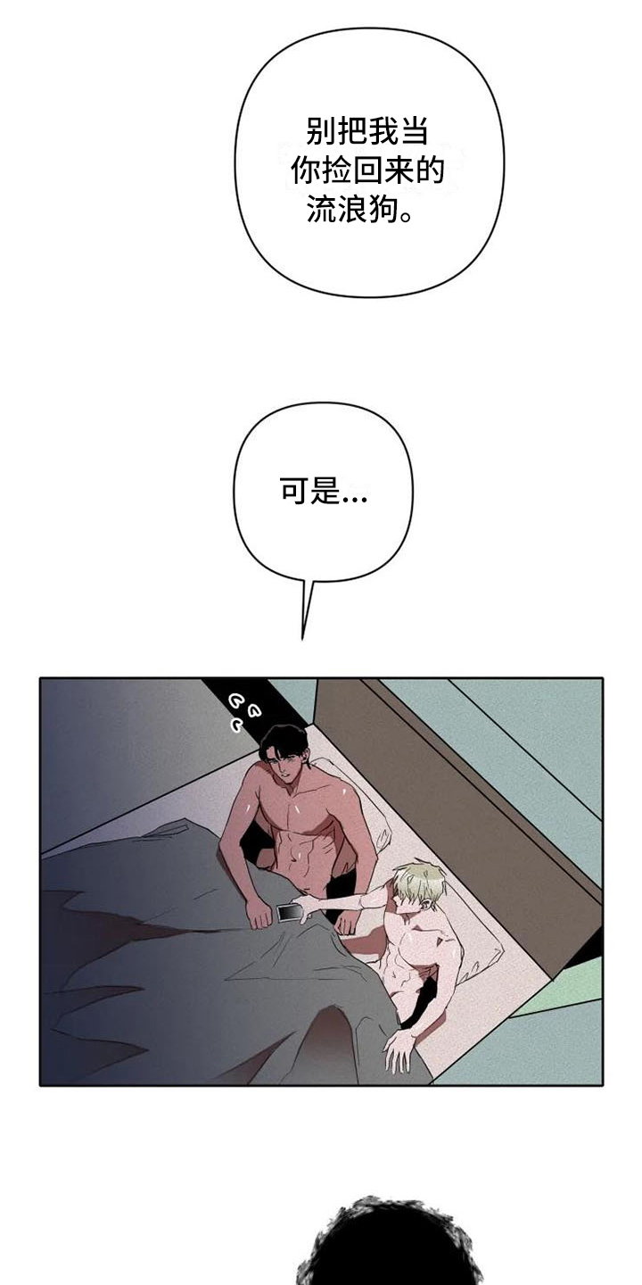 甜蜜杀戮漫画,第17章：汇报1图