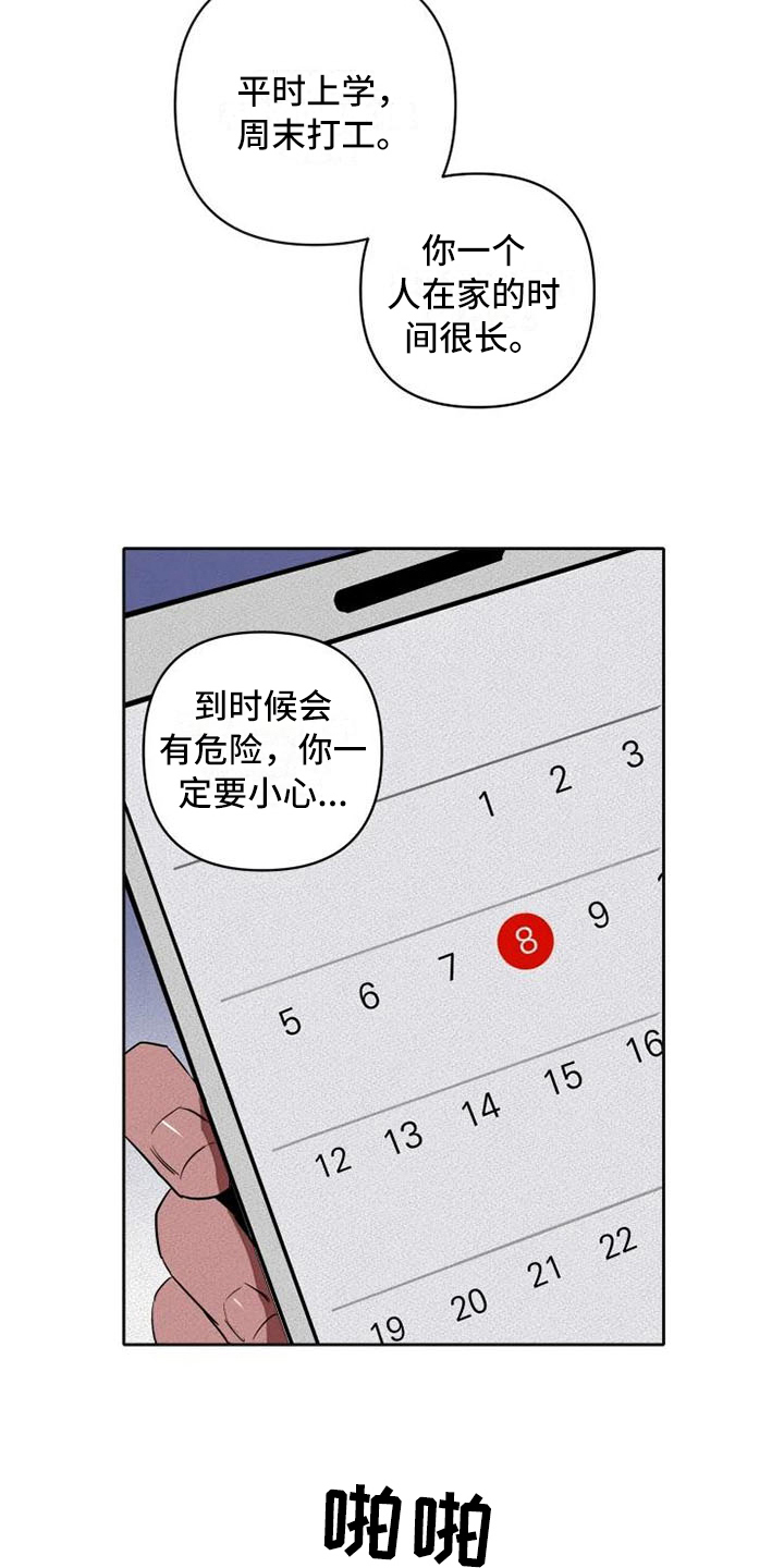 甜蜜杀戮漫画,第17章：汇报2图