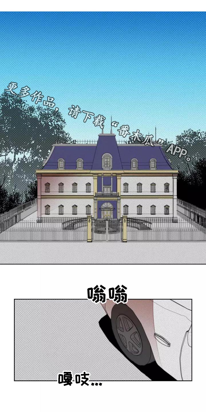 甜蜜杀戮漫画,第54章：会议1图