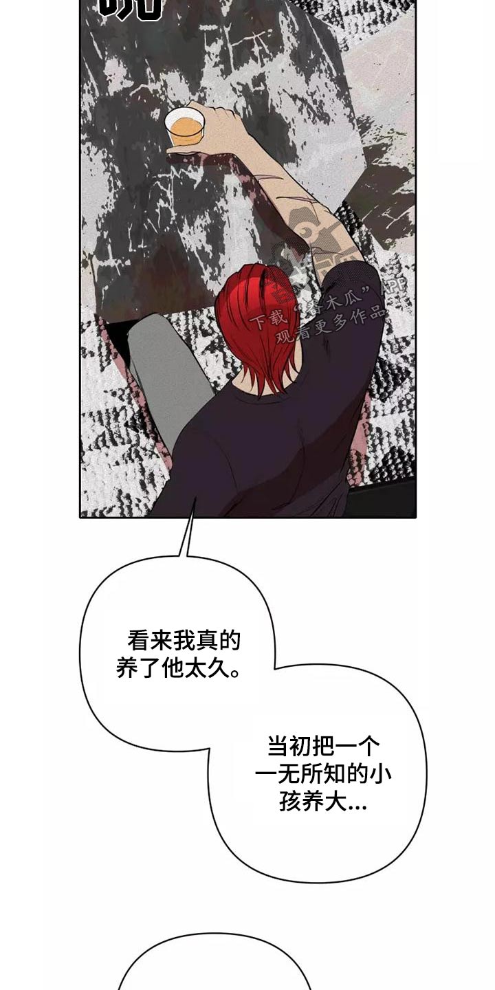 甜蜜杀戮漫画,第53章：罪过2图