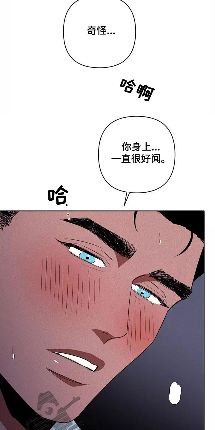 甜蜜杀戮漫画,第40章：为所欲为2图